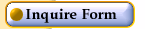 Online Inquiry Form